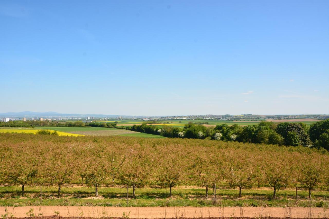 Weingut Bugner Meizelhof Klein-Winternheim 外观 照片