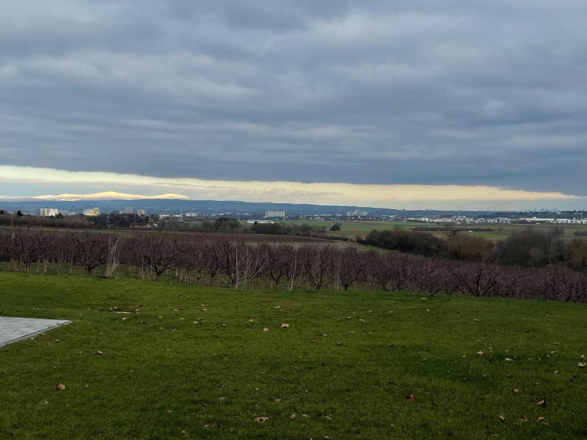 Weingut Bugner Meizelhof Klein-Winternheim 外观 照片