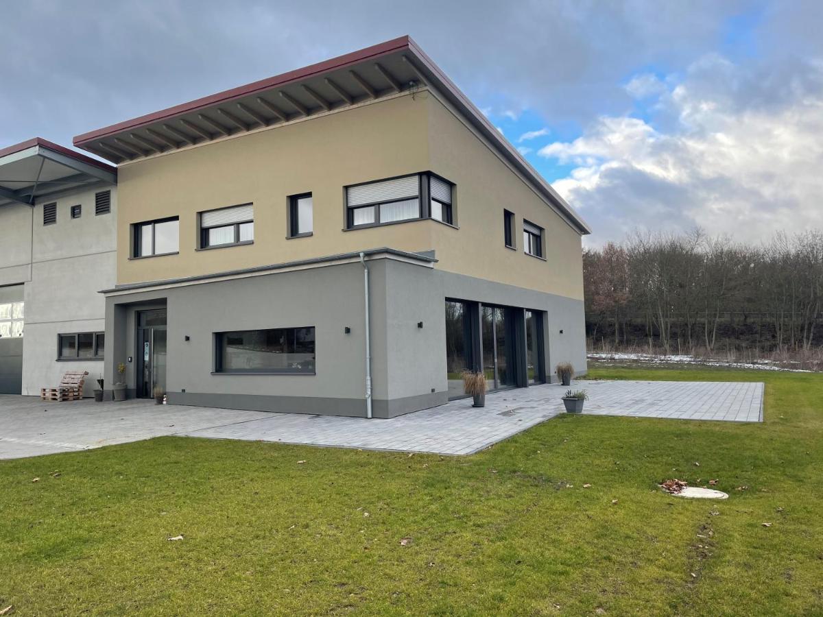 Weingut Bugner Meizelhof Klein-Winternheim 外观 照片